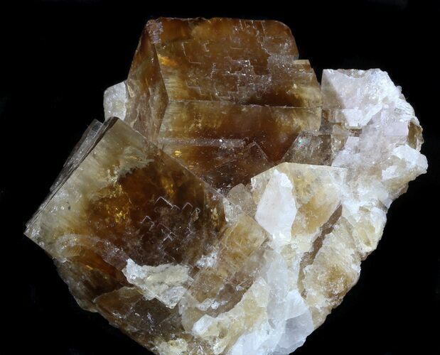 Cubic, Honey-Brown Fluorite - White Rock Quarry, Ohio #34305